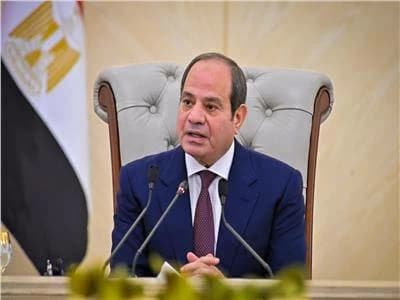 Sisi: Protecting the State Is a Collective Duty