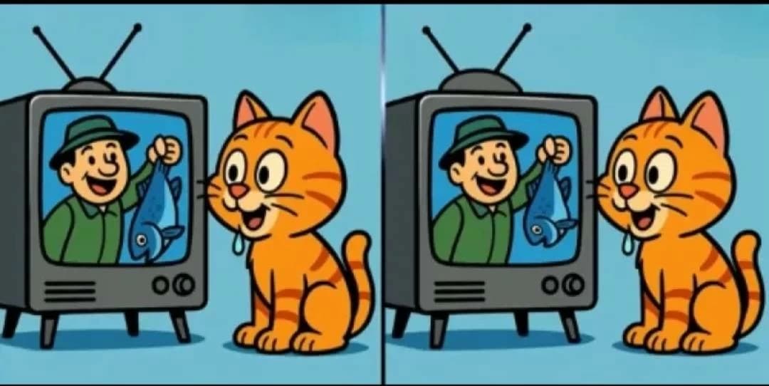 Find the 3 differences in the cat and TV riddle