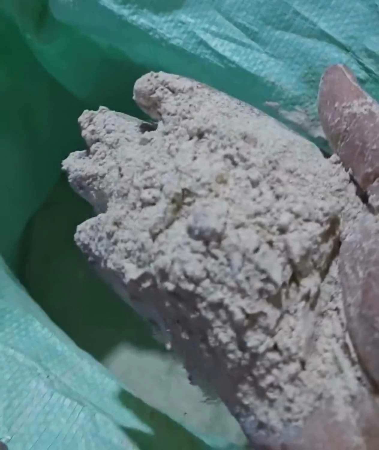 Food Department Acts on Flour Quality Issue