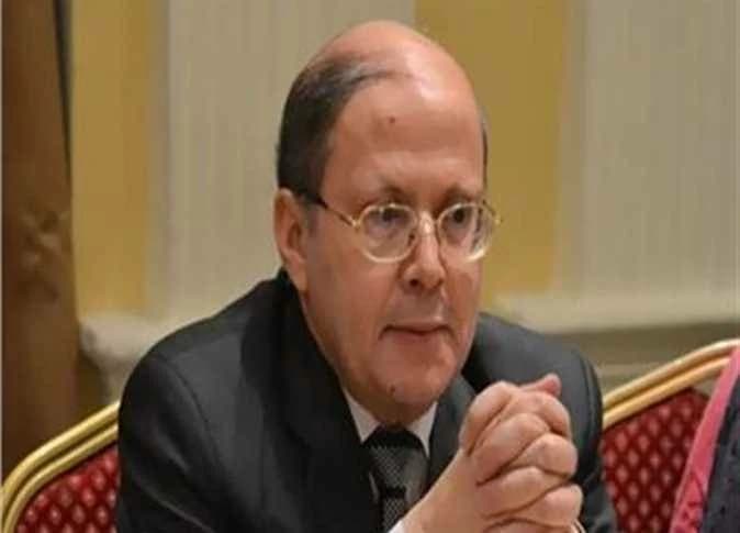 Qandil: Sisi's firm pledge on constitution