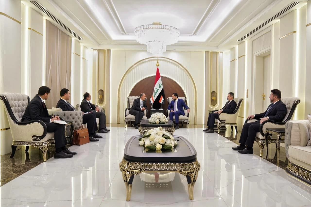 Egypt supports Iraq's unity and stability
