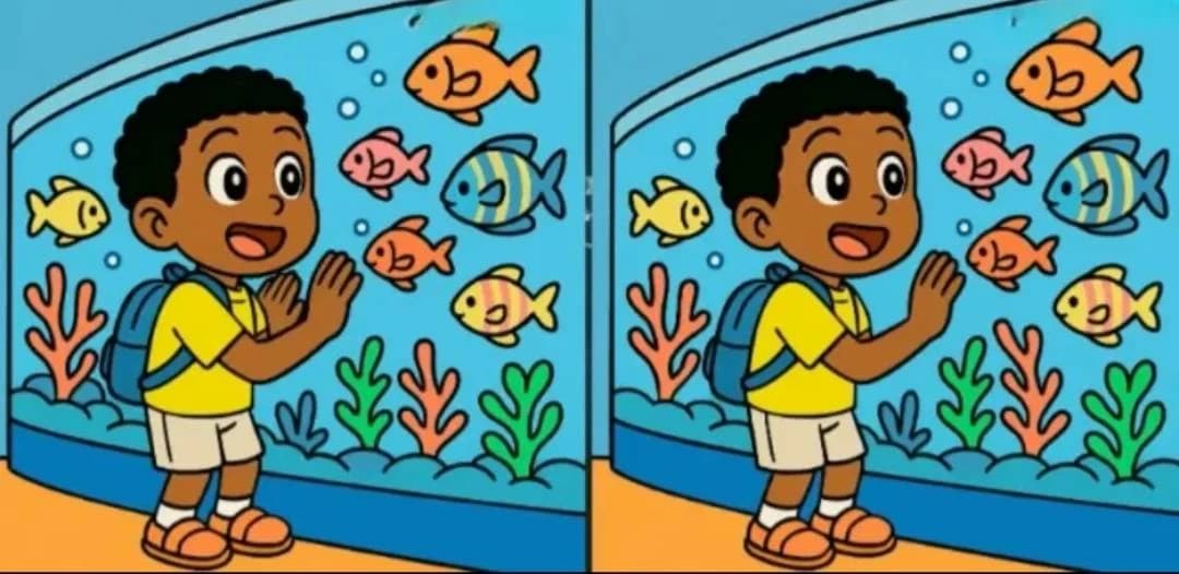 Find three differences in the puzzle