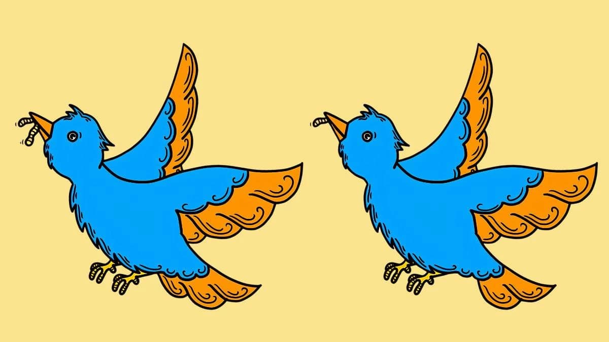 Bird and worm image difference test