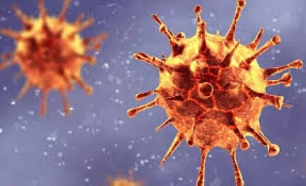France reports first human case of Chamonda virus