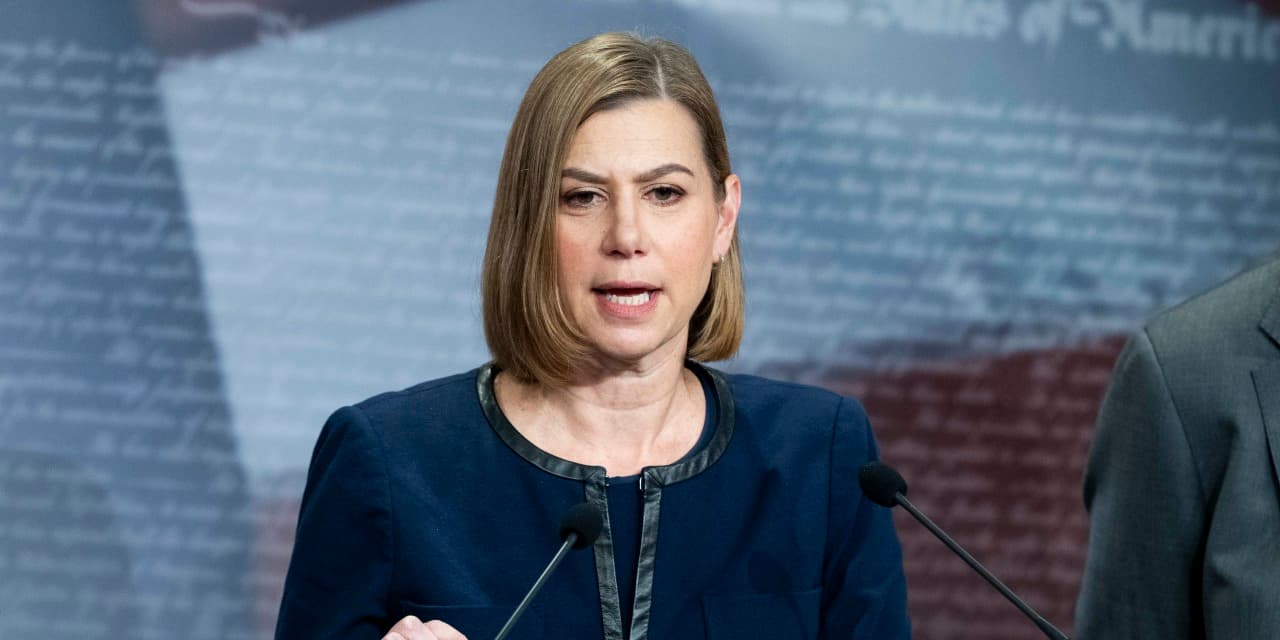 Slotkin Vows Continued Legal Challenges