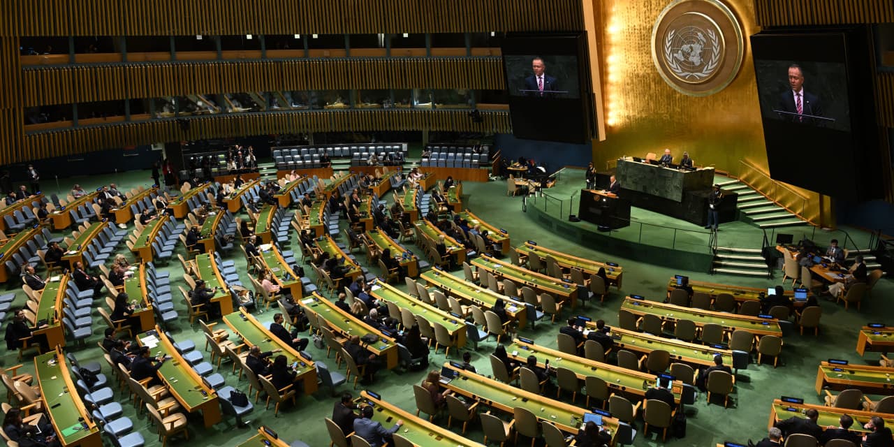 U.N. and Bias Against Israel