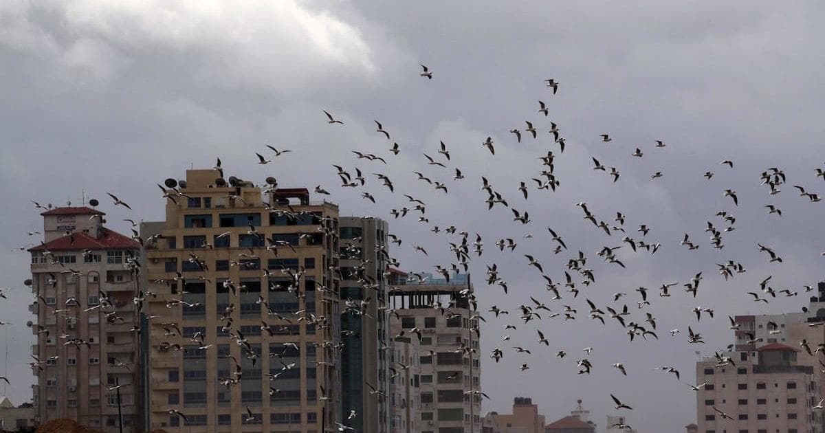 انخفاض درجات الحرارة في فلسطين الثلاثاء
