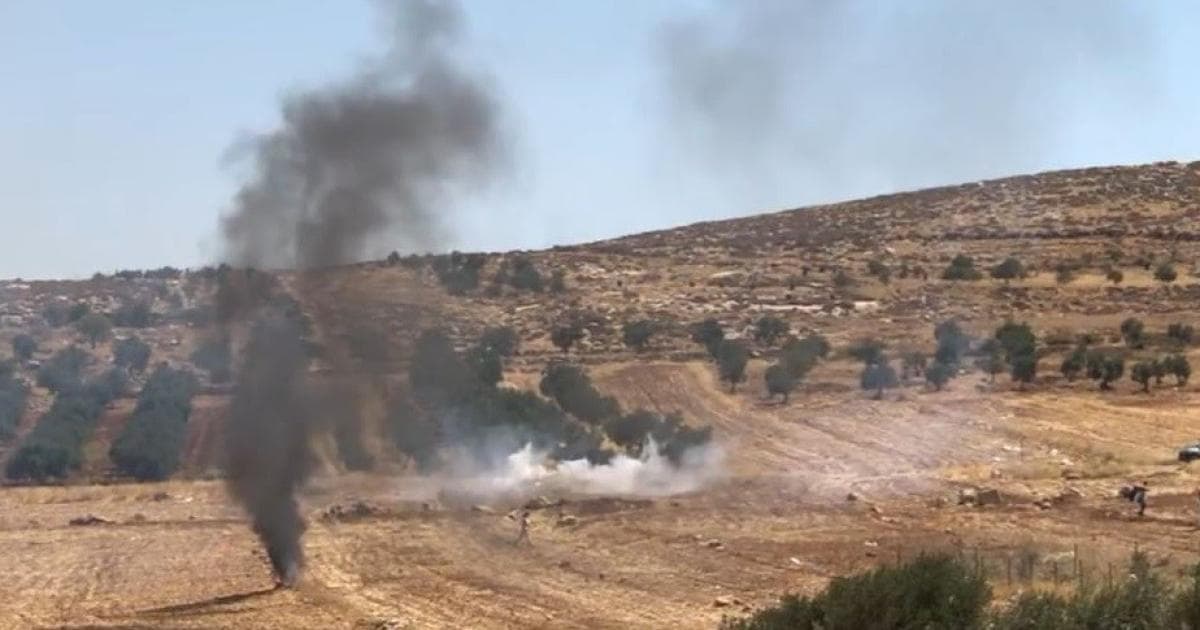 Foreign Ministry urges firm actions against occupation