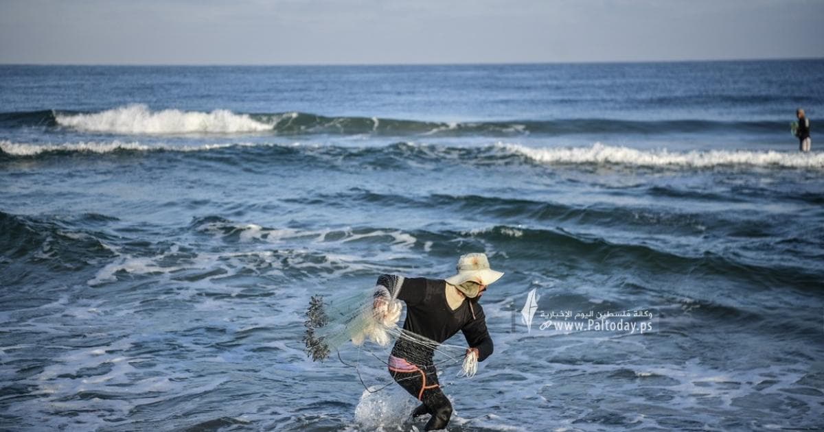Agriculture condemns attack on fishermen
