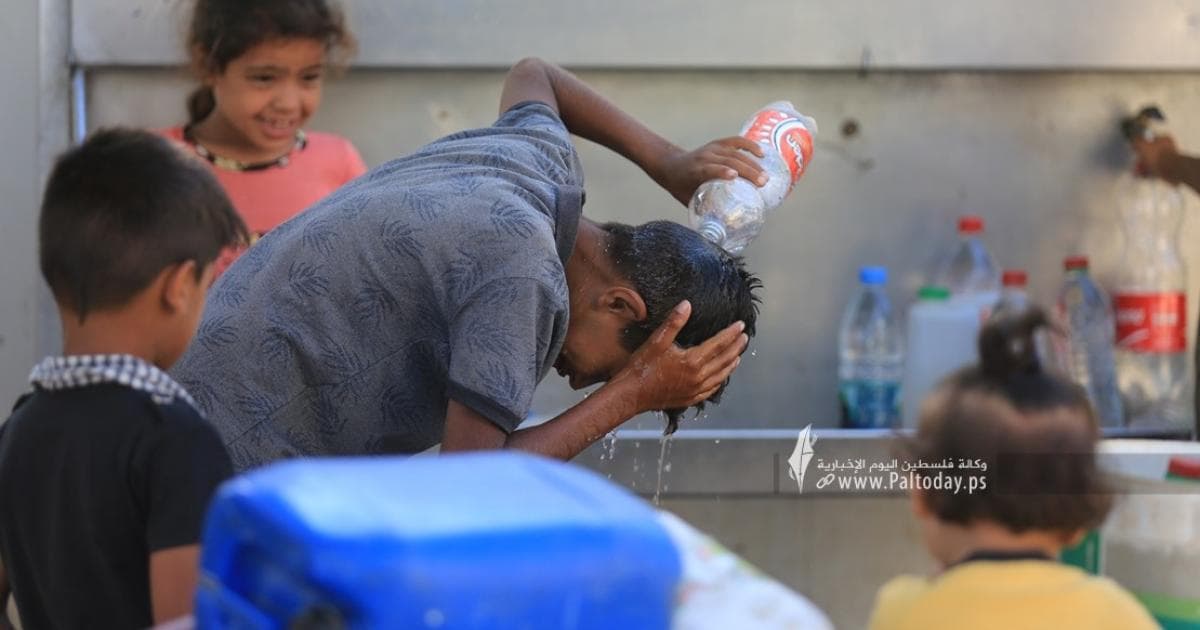 Palestine Weather Update August 4 2026