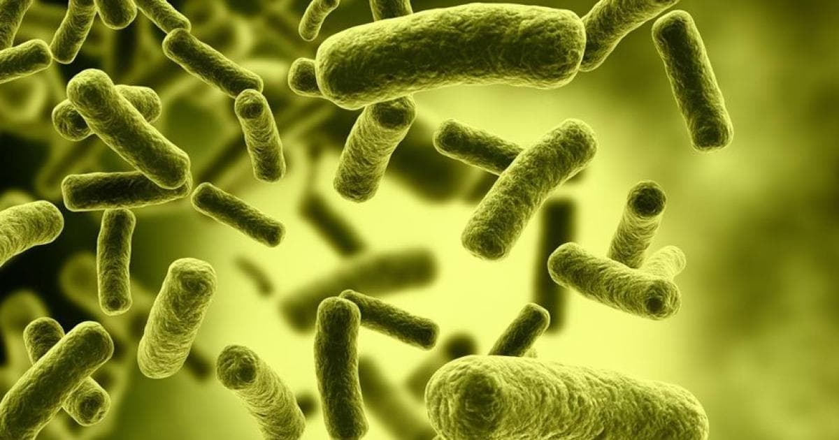 New York reports third Fyalqa disease case