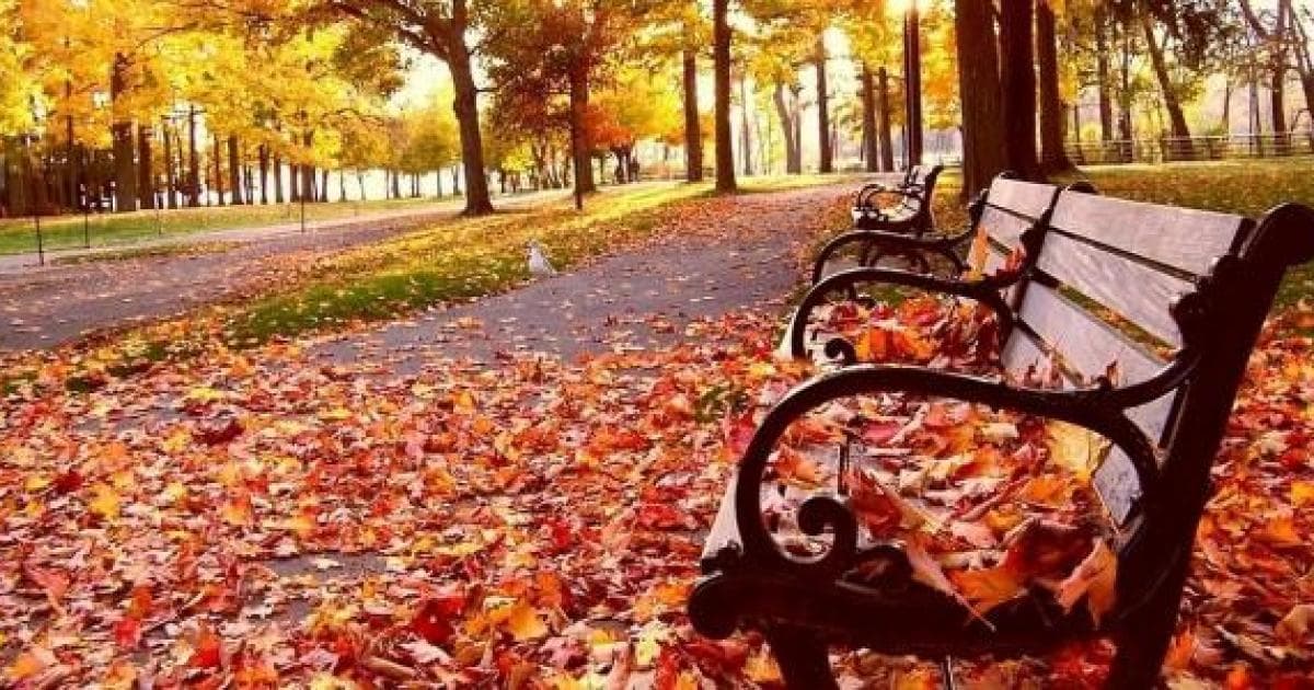 Palestine Faces Cooler Autumn Days