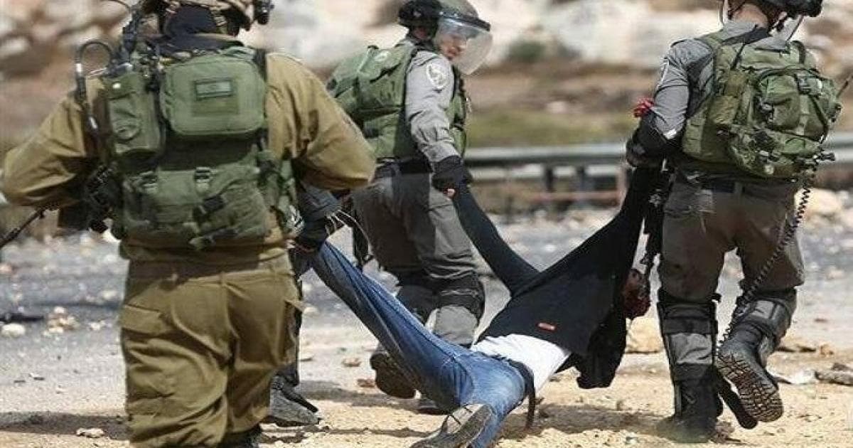 Salfit occupation kidnaps 3 citizens