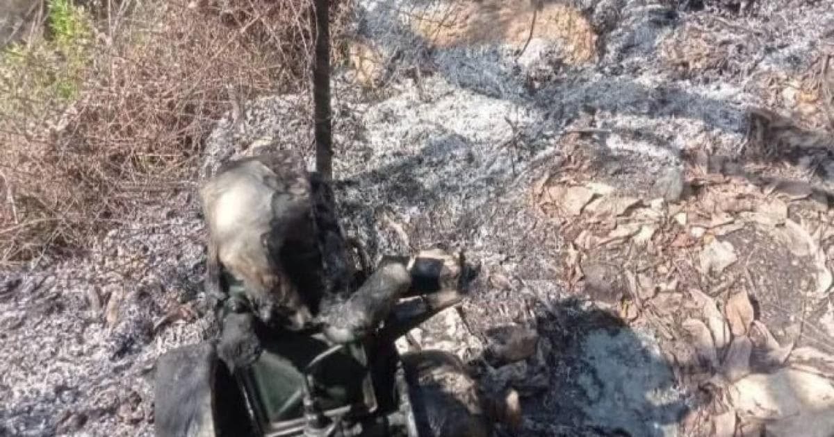 Settlers attack injuries south of Jenin