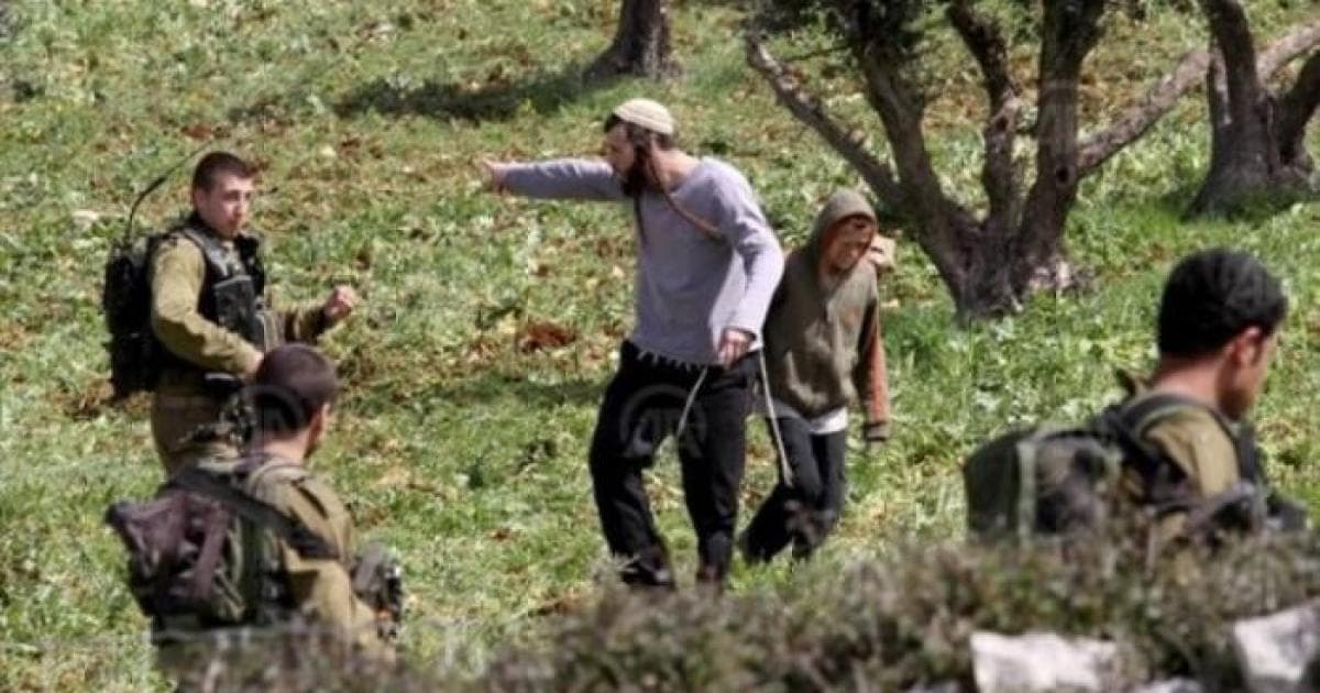 Occupation forces detain two farmers in Jenin