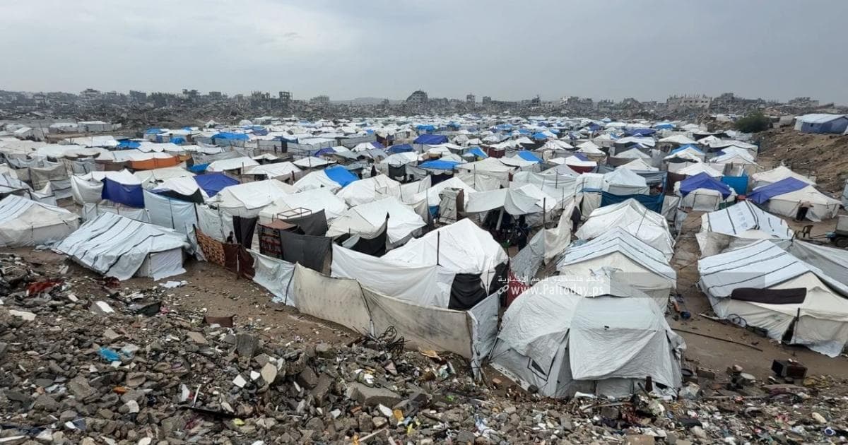 المنظمات: 75% من خيام النازحين بحاجة لتغيير