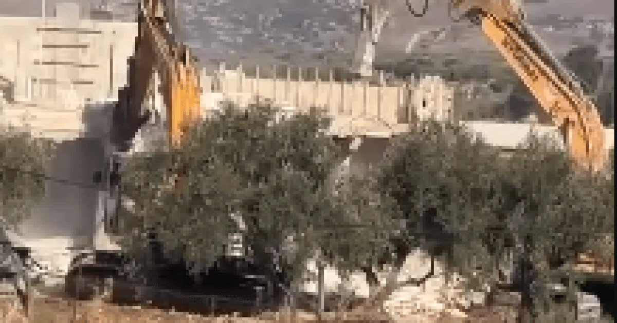 Construction demolished in Beit Likya