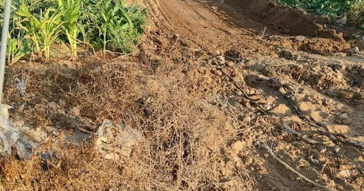 Land excavation and crop loss east of Deir al-Balah after Yellow Stone incident