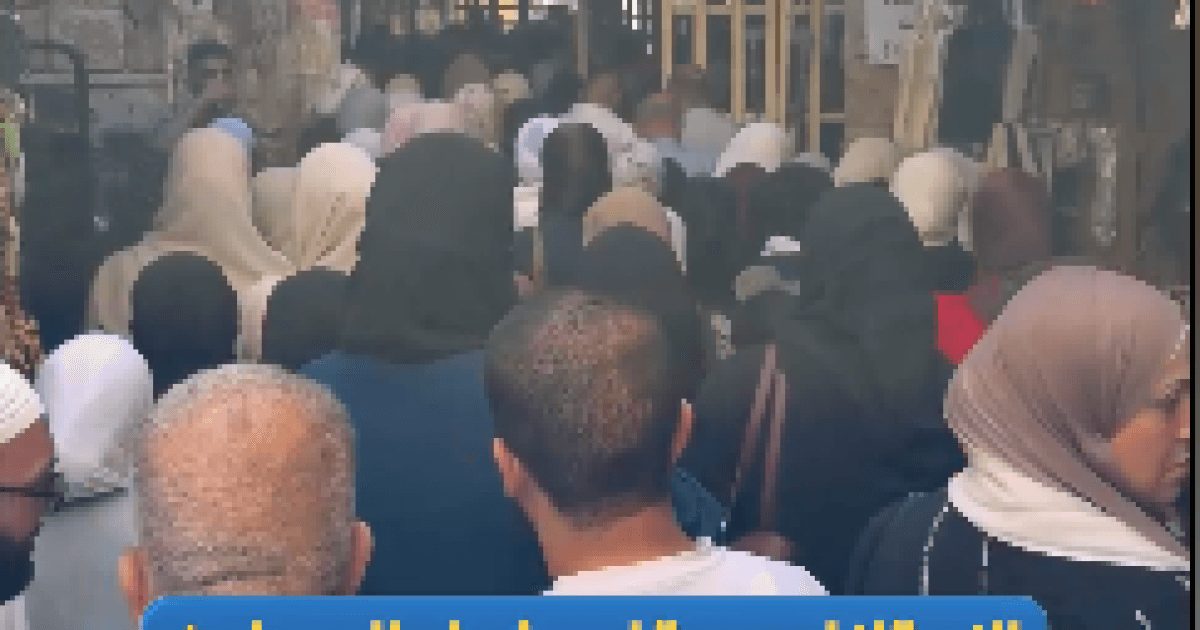 Occupation restricts access to Ibrahimi Mosque in Hebron on Prophet's birthday