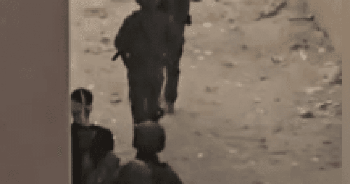 اعتقال همام نجل فتحي خازم في جنين