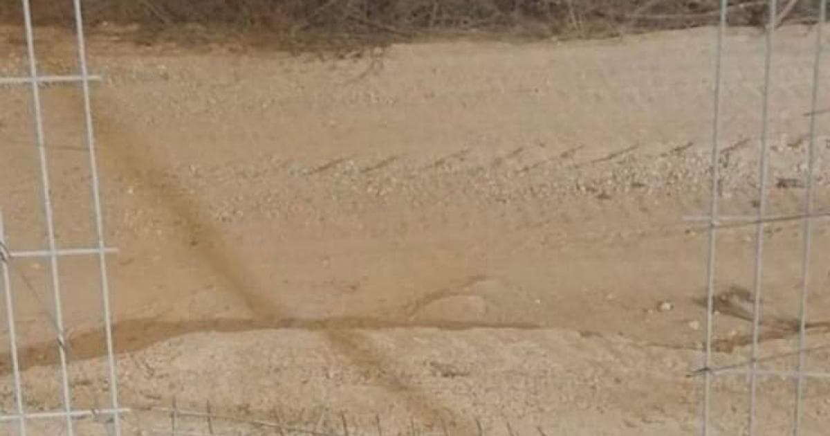 قطع في السياج يثير خوف زيكيم