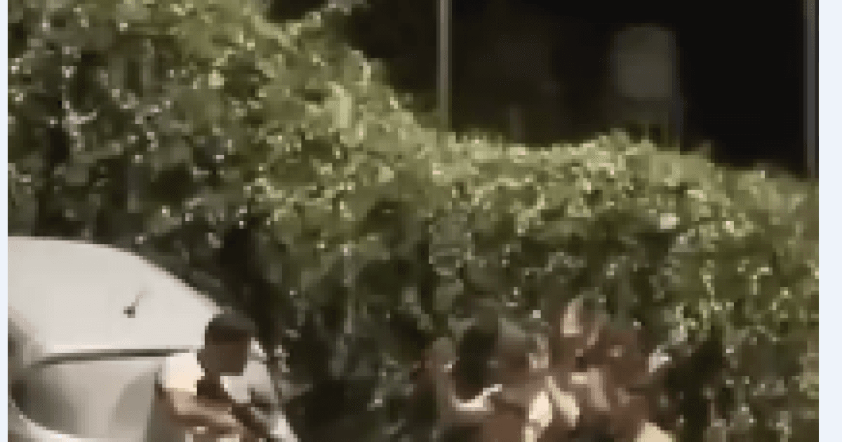 Armed settler detains youths at Beit Amin