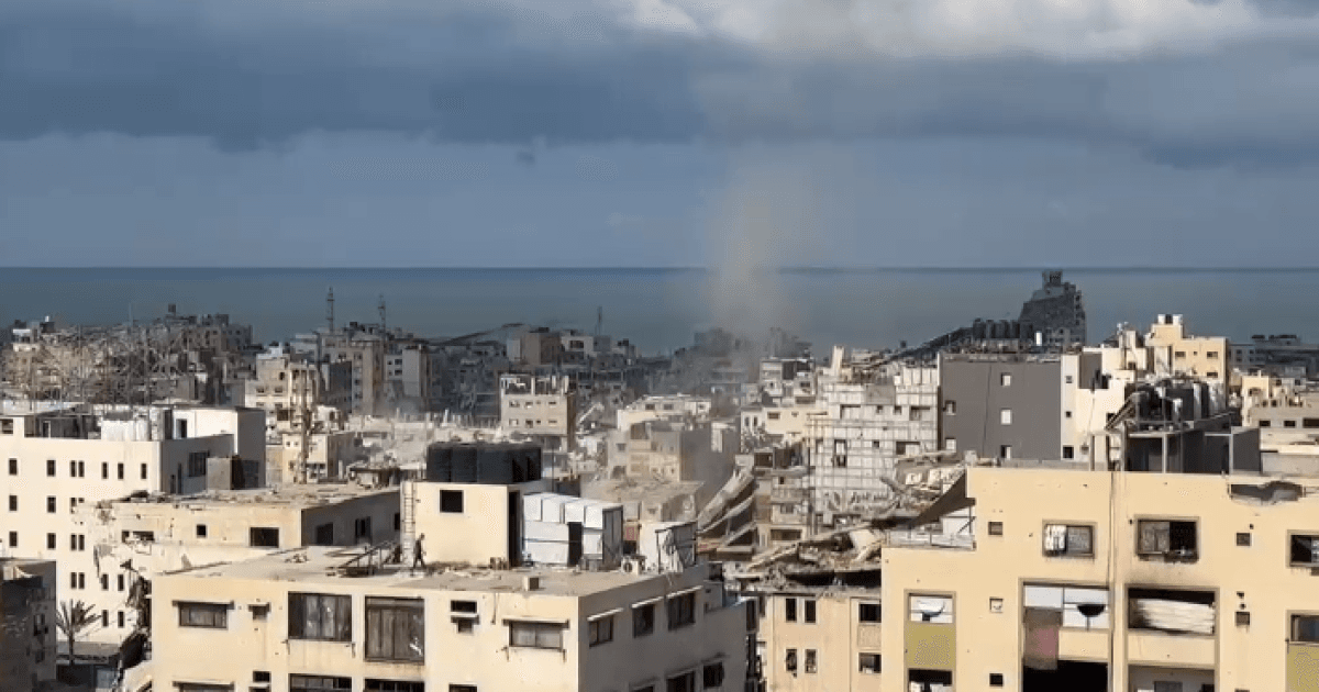 Mujaddid reports 3 deaths in Gaza