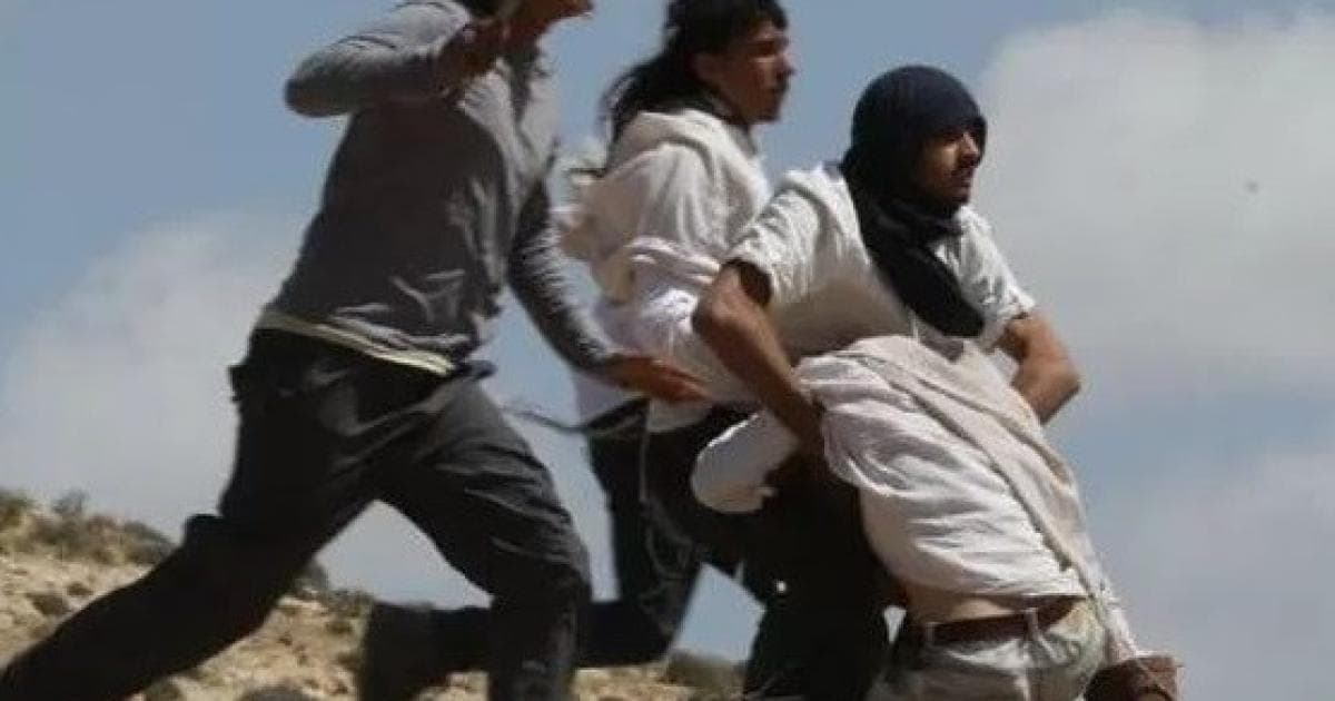 مستوطنون يهاجمون قاطفي الزيتون في نابلس
