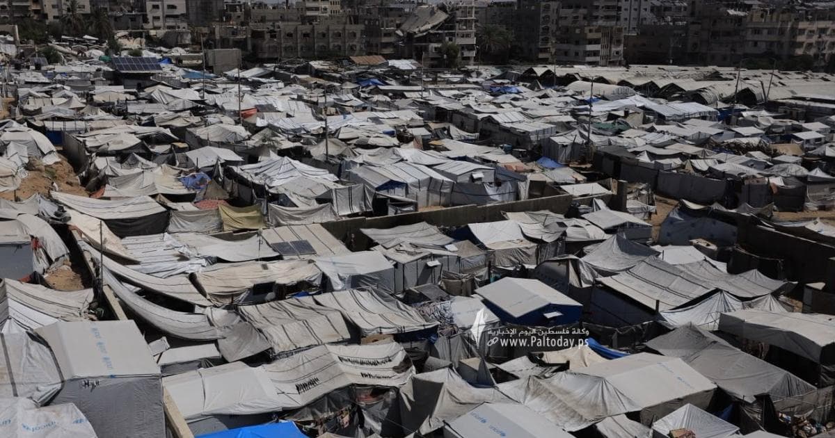 Rafah residents seek better living and aid