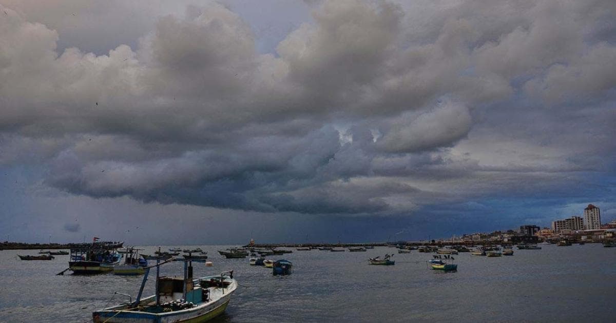 Palestine Weather: Cooler and Mild