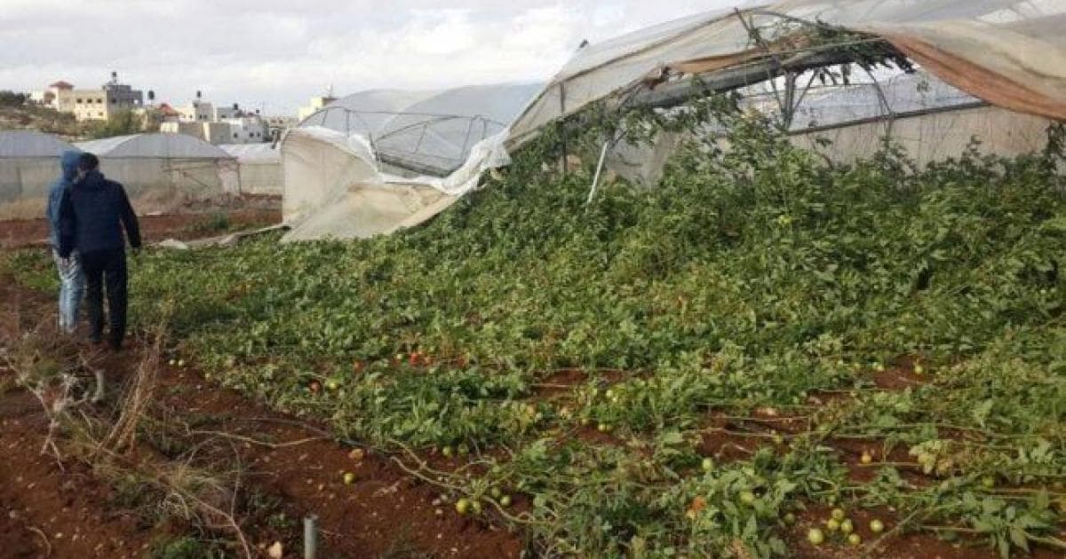 37 من الضفة مراعي طبيعية