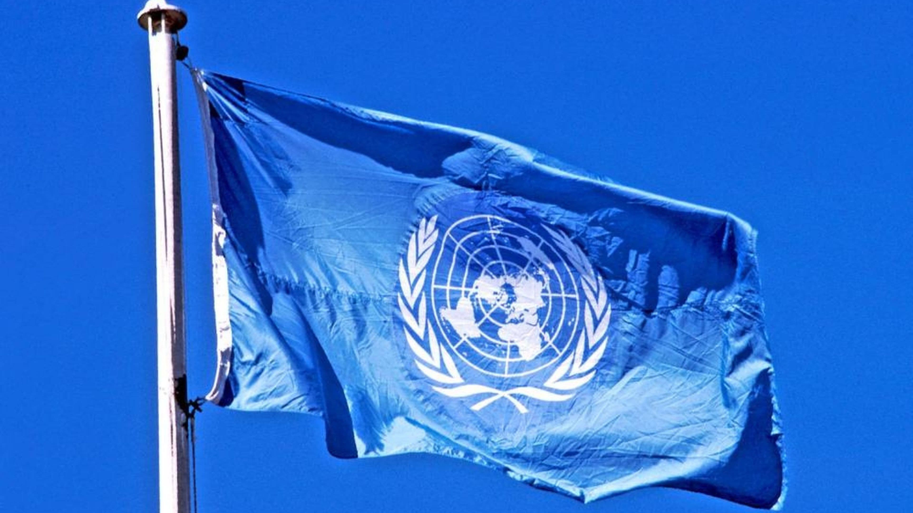 UN reports 94% of Gaza residents need shelter