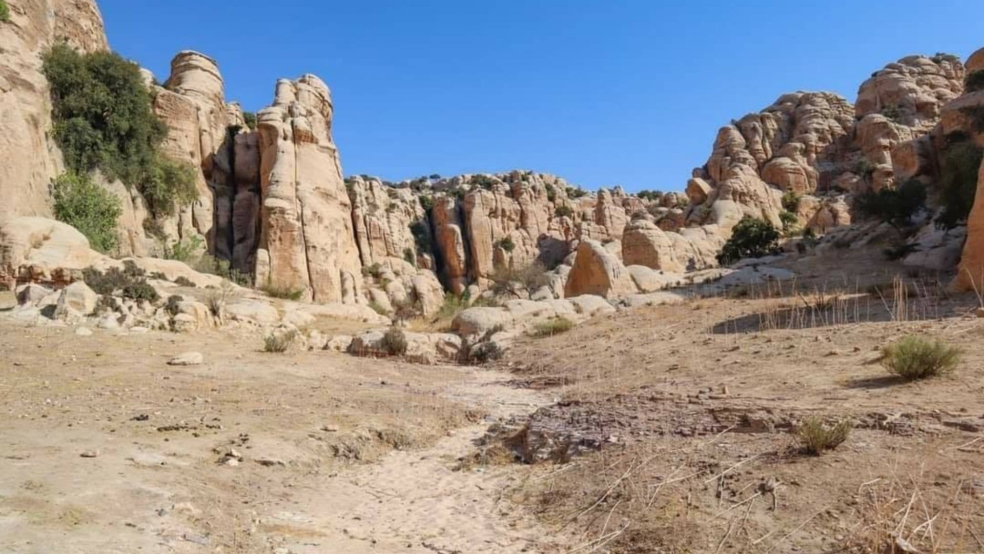 Dana's passions: nature and history