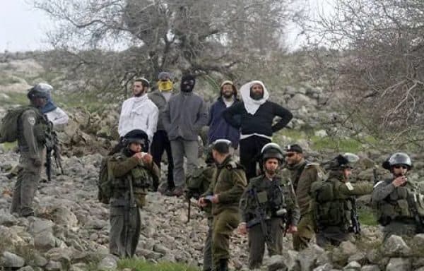 Settler Violence and Olive Harvest Obstruction in Hebron