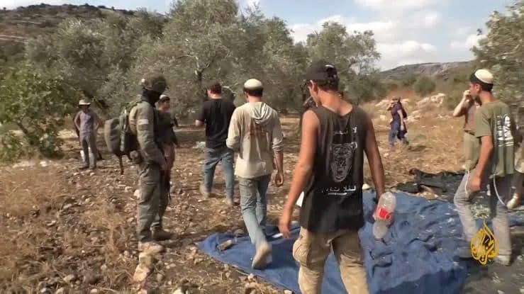 West Bank farmers face 52 attacks in two days