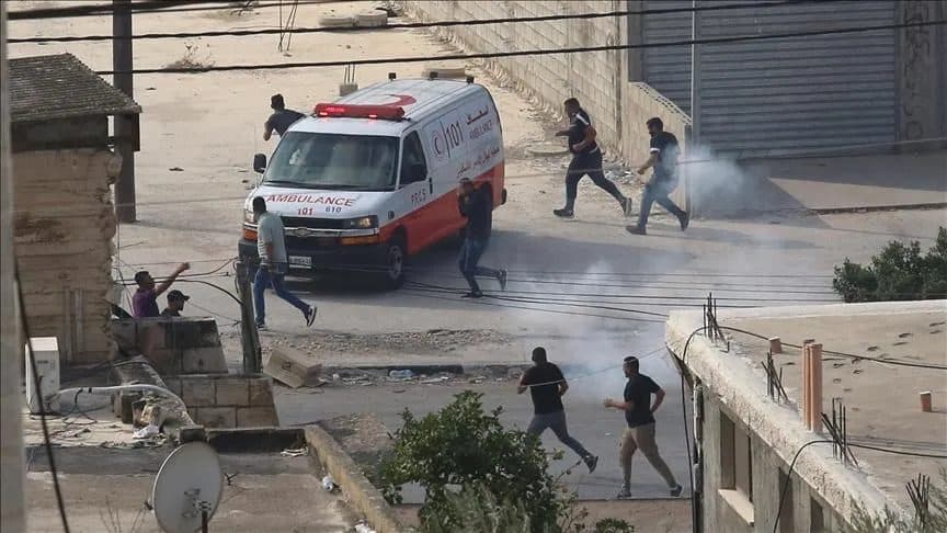 Settler Attacks in Nablus and Areas