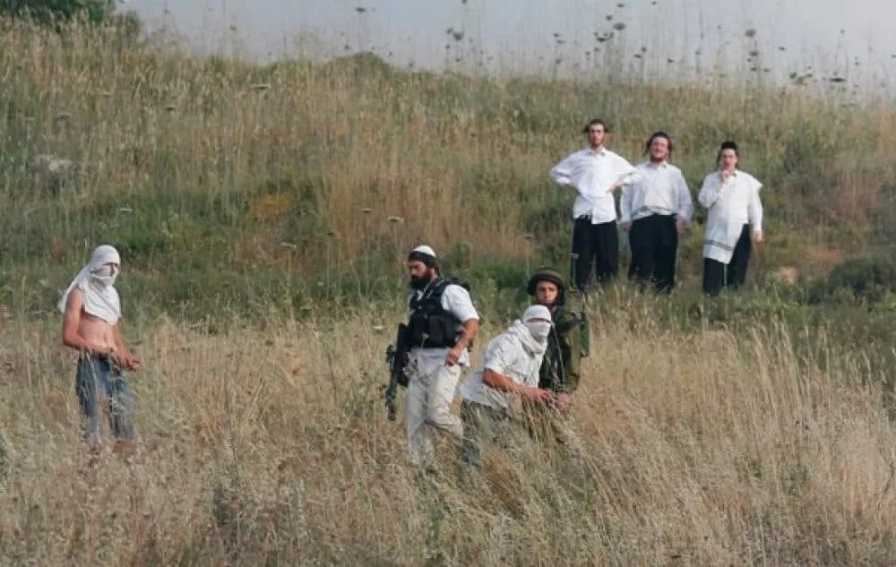 مستوطنون يهاجمون منازل ياسوف بالحجارة
