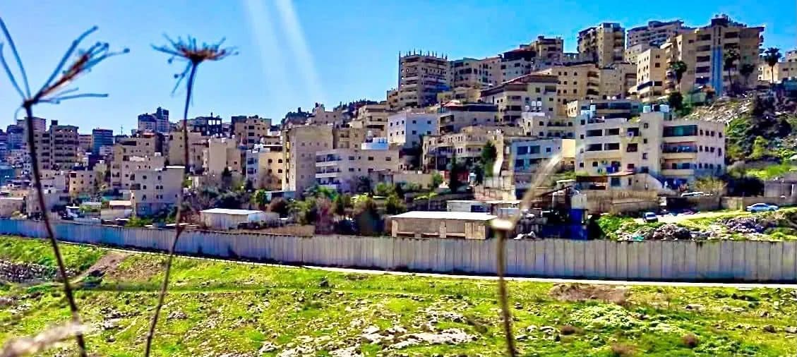 الحياة عند حافة الجدار
