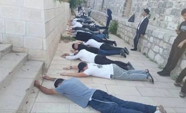 صلوات جماعية وتشهدية في الأقصى برعاية شرطة الاحتلال