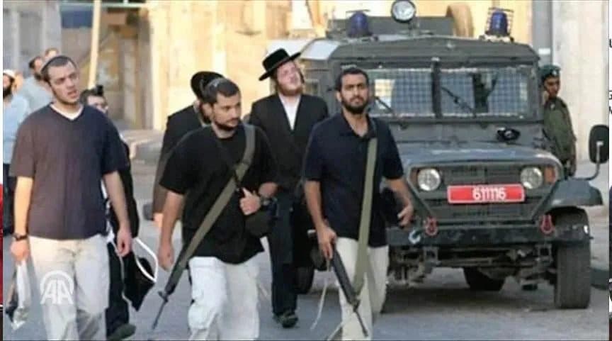 Settlers' Attacks Injure Palestinians and Steal Crops