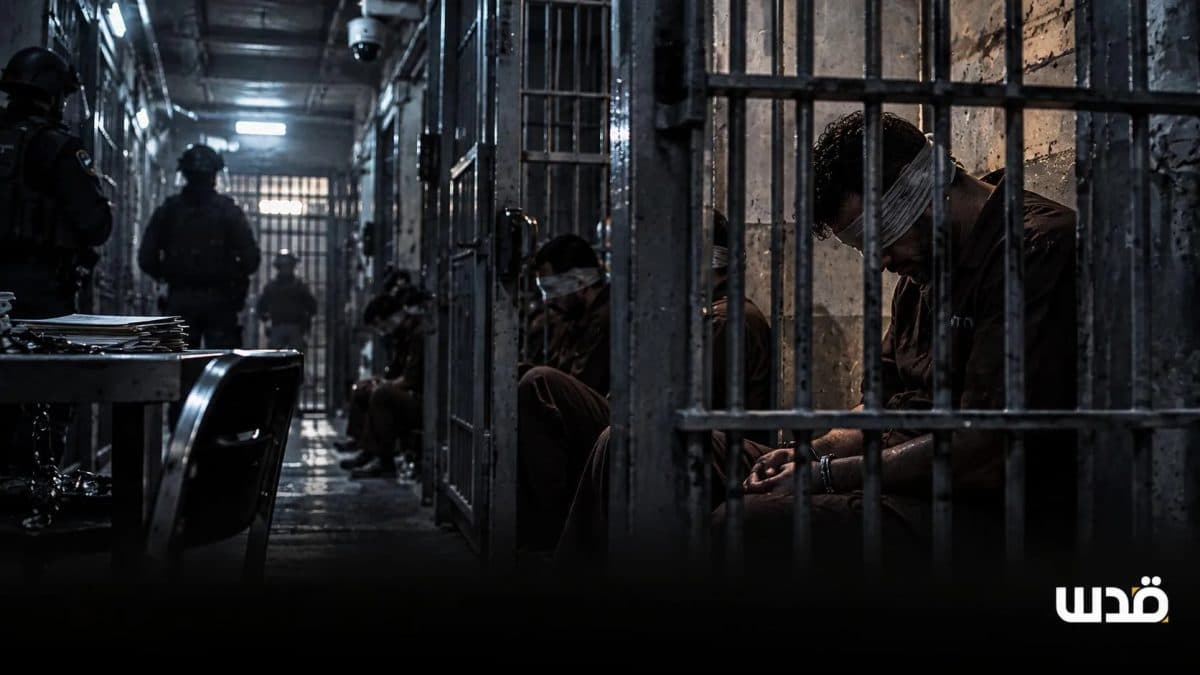 Prisoners After Year Three