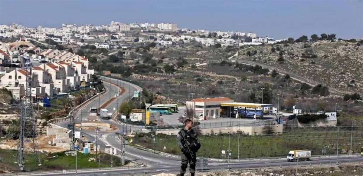 Occupation seizes 15 dunams near Beit Lahem