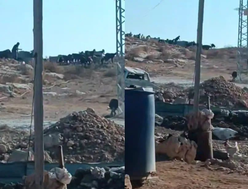Occupation transforms water into settlement resource
