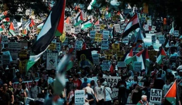Poll Shows Shift in Voter Empathy Toward Palestinians