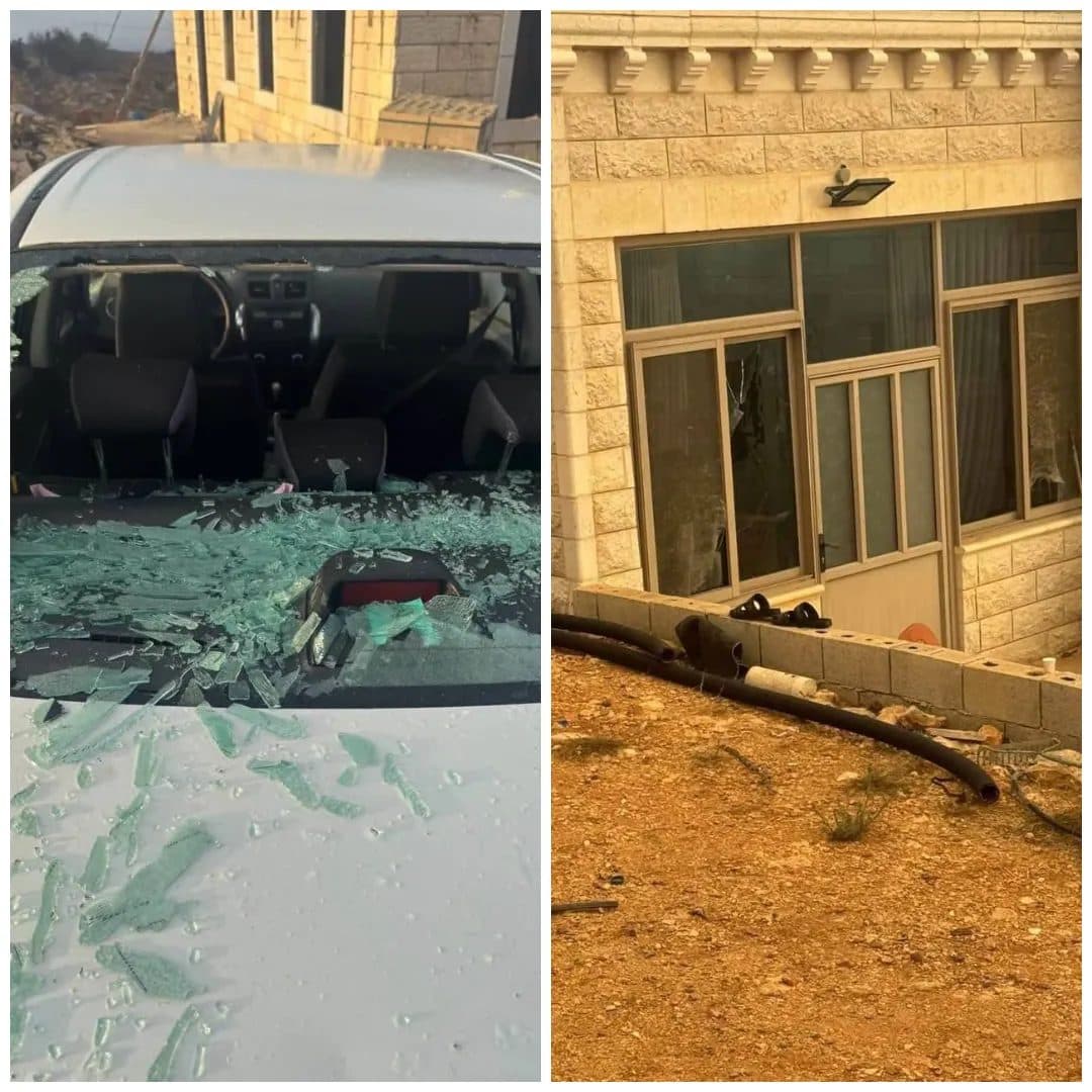 Settlers raid Eastern Farm in Salwad