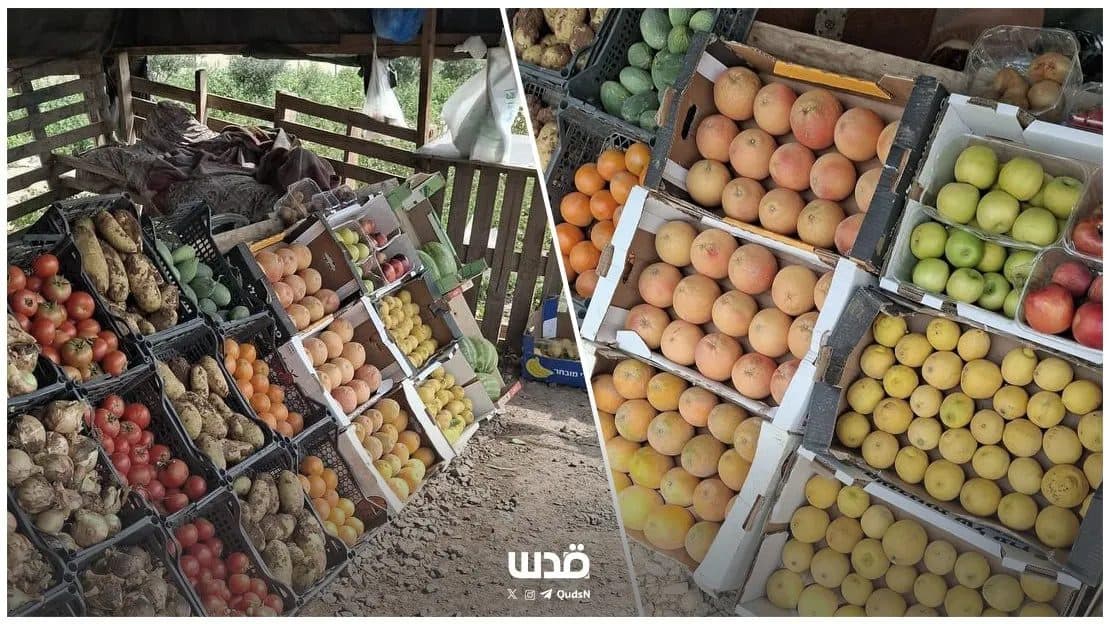 الاحتلال يمنح بسطة فقها أوامر هدم جديدة في الأغوار