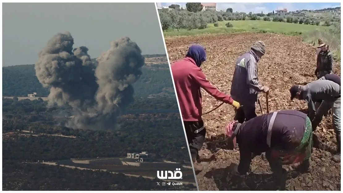 Farming Amid Israeli Conflict