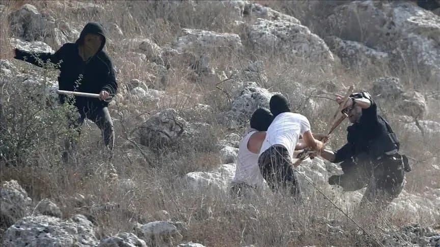 Israeli writer warns of rising settler violence