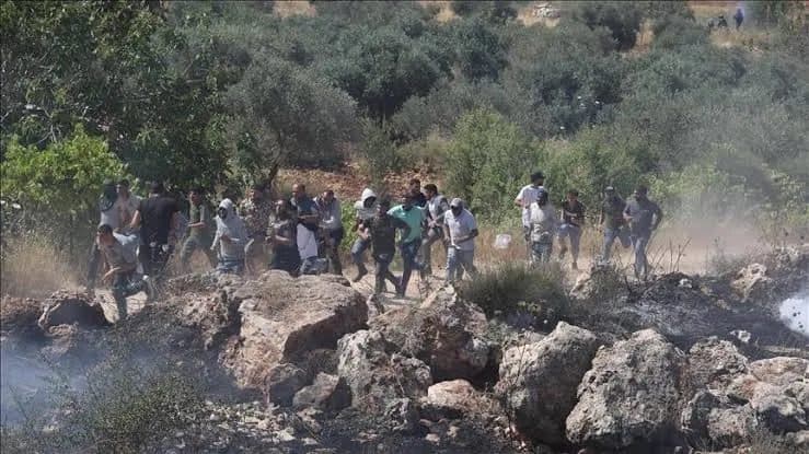 West Bank: 1,669 Violations This Week