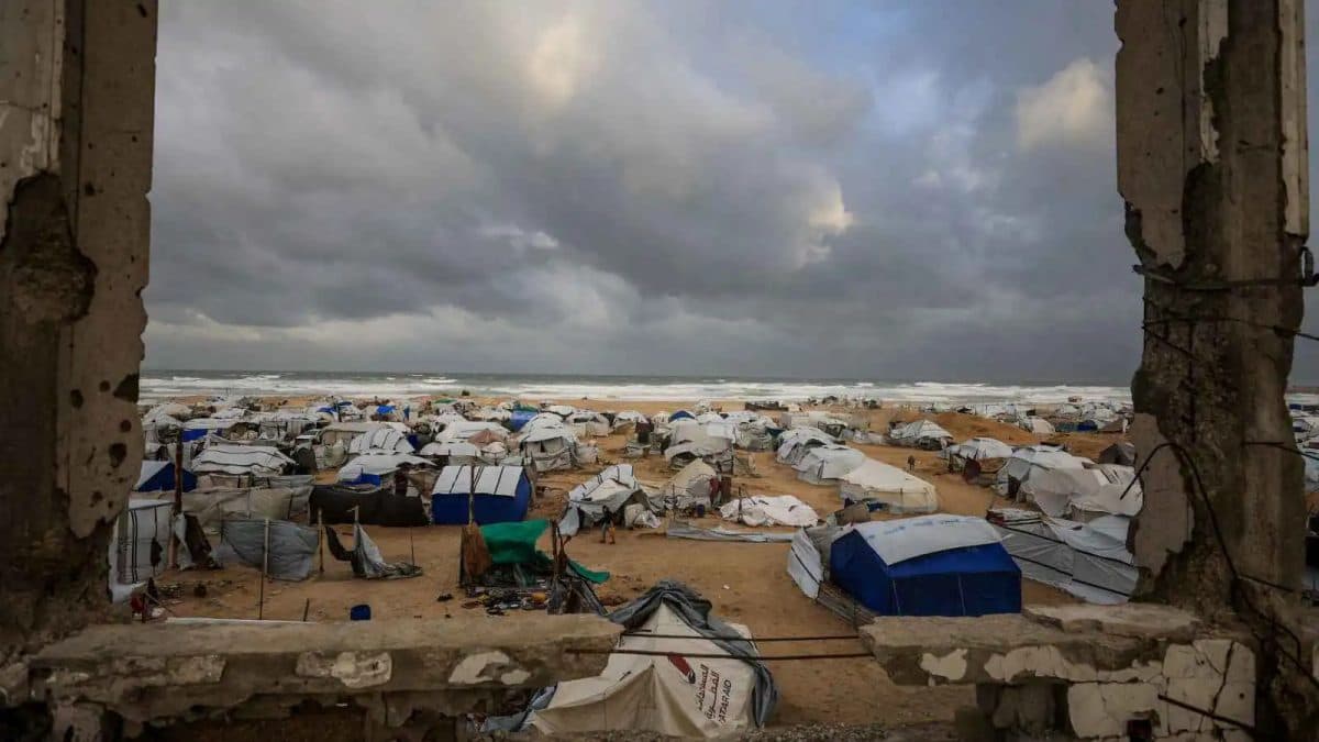 Gaza camp residents call for lighting after rodent intrusion